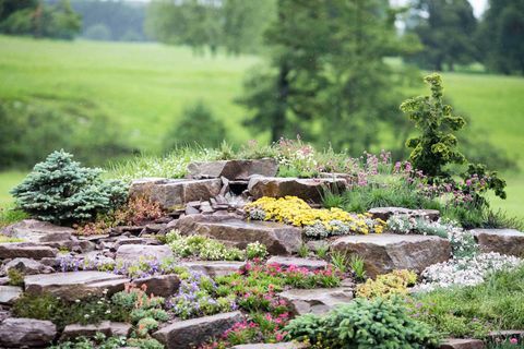 RHS Chatsworth Flower Show 2017 днес (вторник, 6 юни 2017 г.) Просто добавете вода на Джаки Найт