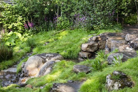 Добре дошли в Йоркширската градина, проектирана от Марк Грегъри, изградена от Landform Consultants - Челси Flower Show 2018