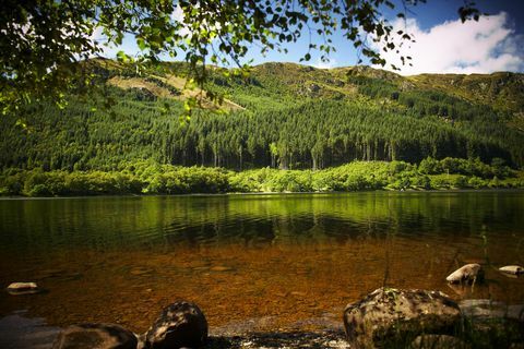 Красиви гори във Великобритания, за да опитате Forest Bathing