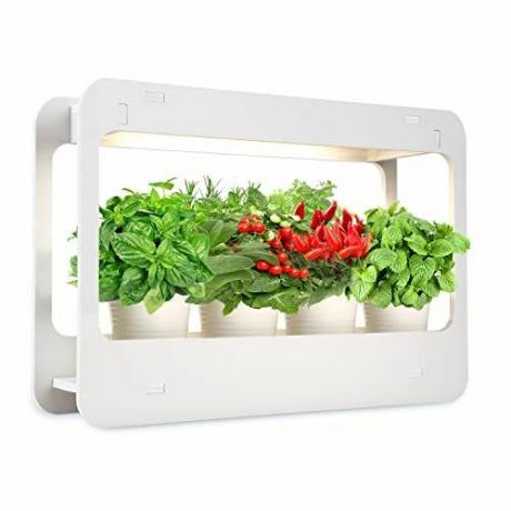 Мини LED Grow Kit