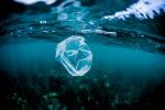 Зареждането с пластмасова торба за еднократна употреба ще бъде удвоено до 10p до 2020 г., казва правителството