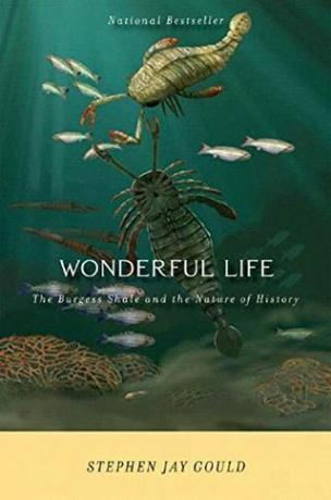 Прекрасен живот: Шейлът на Бърджис и природата на историята