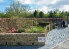 Първата постоянна градина на таралежи в Обединеното кралство е разкрита