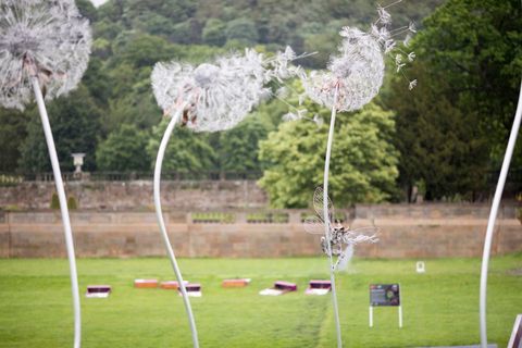 RHS Chatsworth Flower Show 2017 днес (вторник, 6 юни 2017 г.)