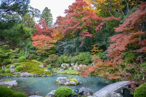 Киото градина Shren-In Shren-In Monzeki