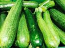 Недостигът на зеленчуци ще удари британските супермаркети това лято след месеци лошо време