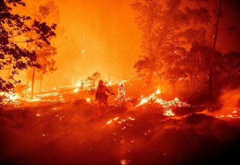 пол разкриват горски пожар в Калифорния