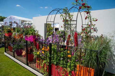 шоу на цветя в Челси 2022 балкон градина