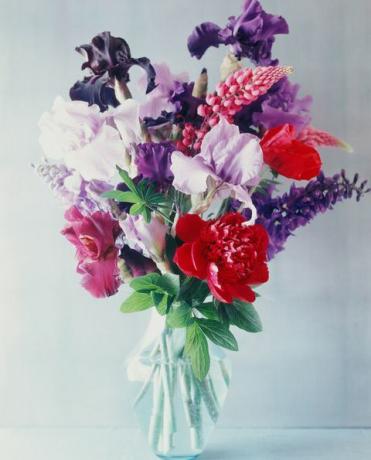 Свежи цветя във ваза