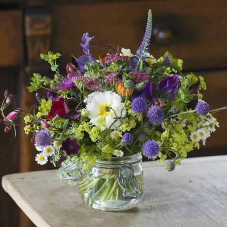 обикновени селскостопански цветя, Съмърсет