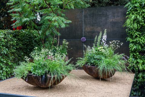Rhs Chelsea Flower Show 2021 контейнерни градини
