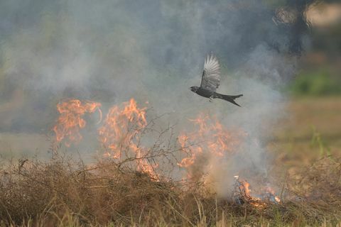 фотографски конкурс rhs 2021