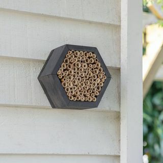 Шестъгълна пчелна къща в Шетланд