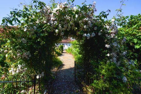 Чудесна розова вила в село Норфолк Станхоу