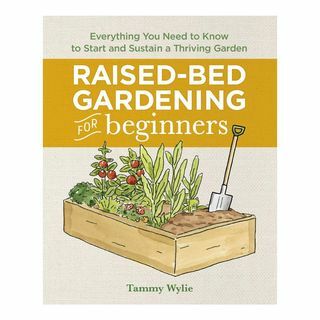 Повишено градинарство в леглото за начинаещи