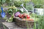 5 градински ощипвания, които ще подобрят вашето психично здраве и благополучие