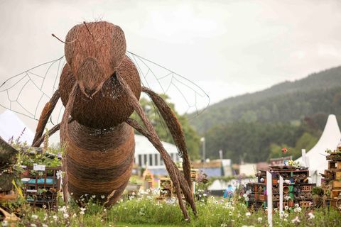 RHS Chatsworth Flower Show 2017 днес (вторник, 6 юни 2017 г.) RHS School Competition - Bug Hotels