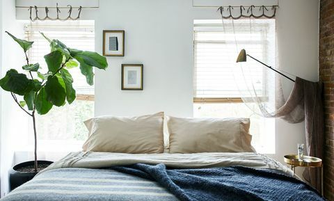 синя спалня с растение