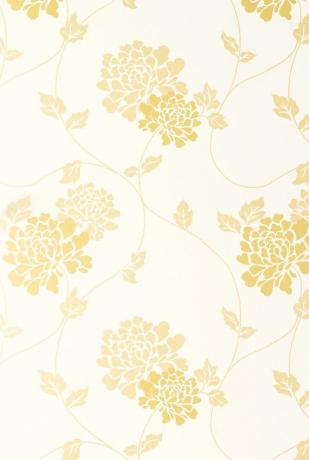 Isadore Camomile Yellow White Floral Wallpaper £ 44