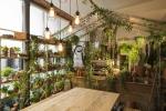Airbnb и Pantone си сътрудничат в къщата на Greennery 'Outside In' в Лондон