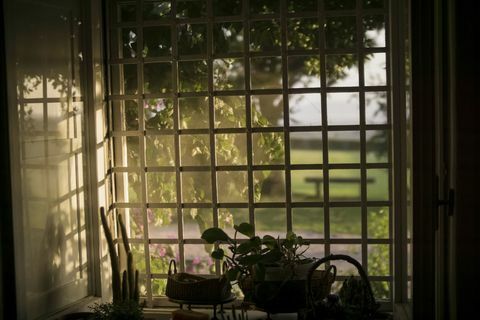 Изглед на прозореца към градината