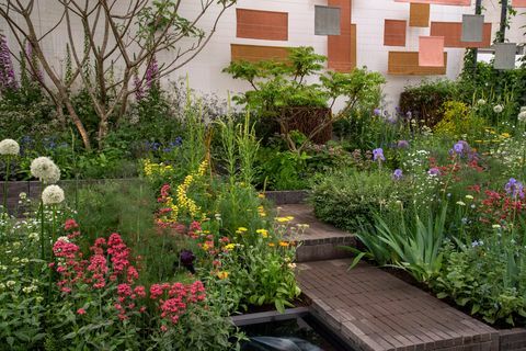 Шоу на цветя в Челси 2022 всичко за градини с растения