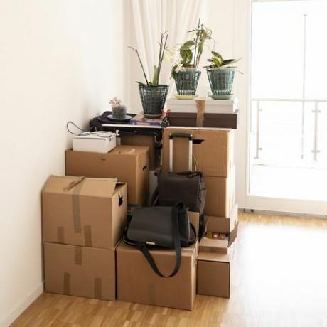 движеща се къща с картонени кутии в хола, Швейцария