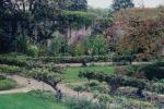 Градински тайни на Бъни Мелън: Най-ценните уроци от един от най-известните градинари в историята