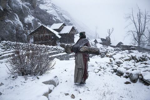 национален географски фотограф на годината