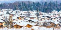 Италианската Бардонекия е обявена за най-евтиният семеен ски курорт тази зима