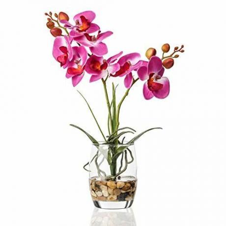 Орхидея в стъклена ваза 