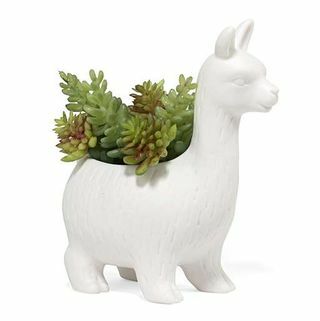 Lloyd the Llama Ceramic Planter