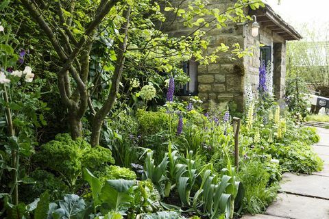 Chelsea Flower Show 2019 - Добре дошли в градината на Йоркшир от Марк Грегъри