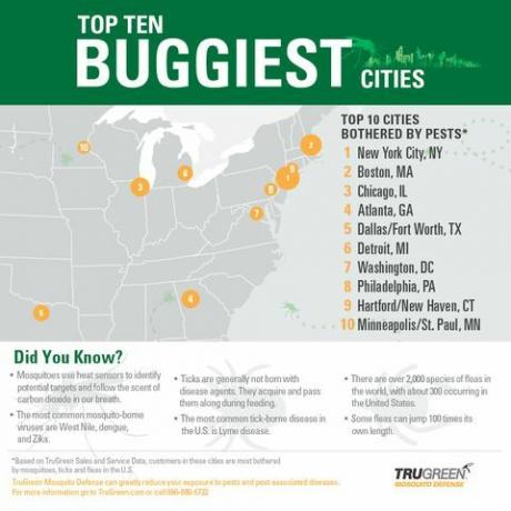 trugreen infograpic 10 най-пълни с бъгове градове