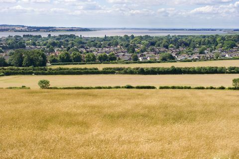 „село Елоутън cum brough през пшенично поле на бреговете на устието на Humber в Йоркшир, Англия“