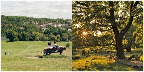 Хампстед Хийт / Ричмънд Парк, най-добрите места за пикник в Лондон