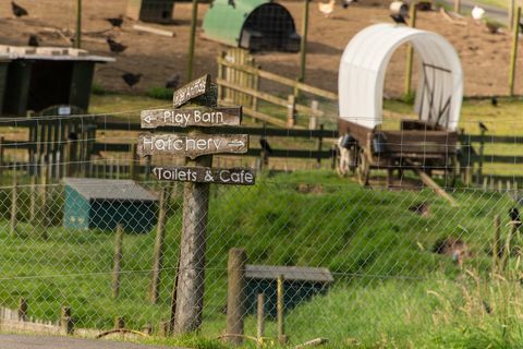 Парк за диви животни за продажба в Шотландия