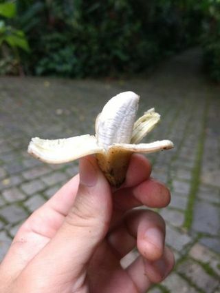 мъничък банан
