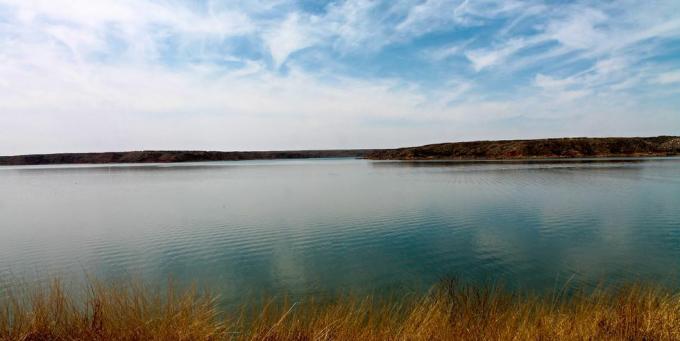 езерен пейзаж с трева, езеро Мередит, Тексас, САЩ