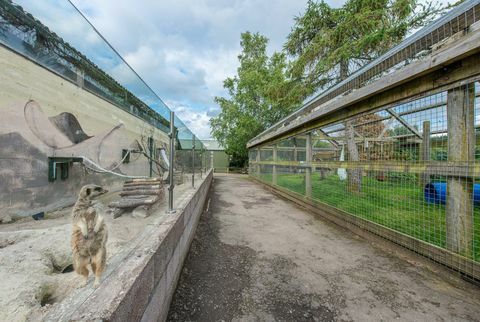 Парк за диви животни за продажба в Шотландия 
