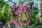 Kew Gardens Orchid Festival 2019 Информация за дати и билети