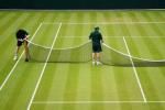 Колко лесно е да постигнете перфектната тенис морава на Уимбълдън в собствената си градина?
