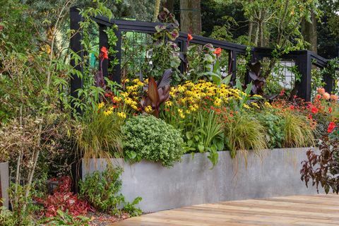 Rhs Chelsea Flower Show 2021 включва градини