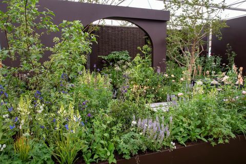 Шоу на цветя в Челси 2022 всичко за градини с растения