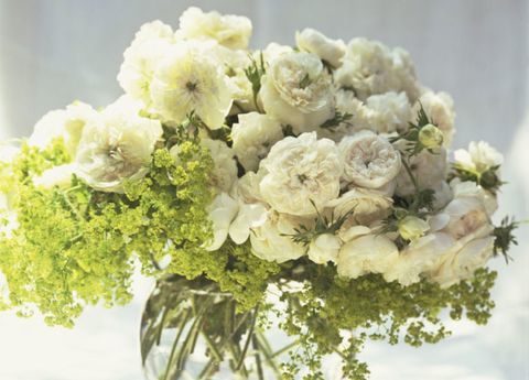 бели цветя стъклени вази-