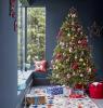 Отброяване на Коледа: 6 декември е за избор на перфектното коледно дърво