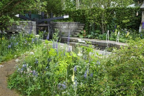 Chelsea Flower Show 2019 - Добре дошли в градината на Йоркшир от Марк Грегъри