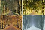 7 Пейзажи Тотално преобразени от есента