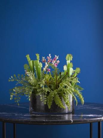 La Redoute пуска луксозна фабрика за изкуствени растения и цветя от Bloom