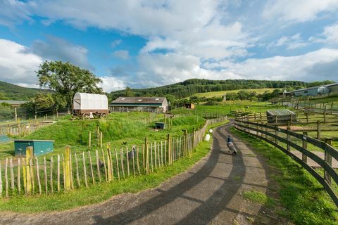 Извън селското пространство - парк за диви животни за продажба в Шотландия 